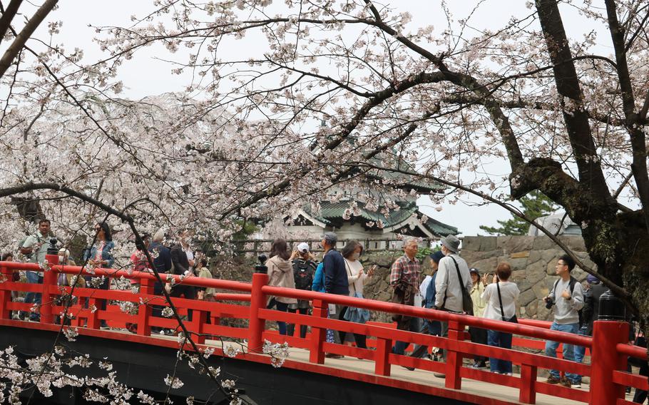 Hirosaki Castle and cherry blossom trees; people walking on the bridge.